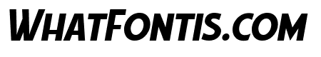 CN Sans Italic