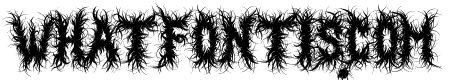 Black Magnet