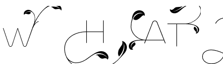 Flor Third Leaf