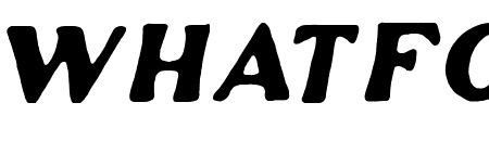 Winfield Italic