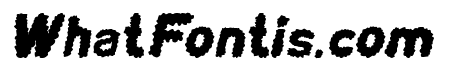 BEARD Rider Italic