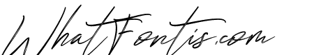 Jillfester Brush