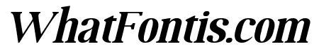 MOODERN Italic