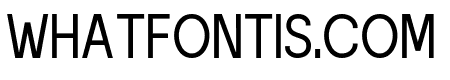 Wincent Bold