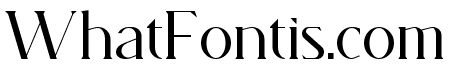 Magnita