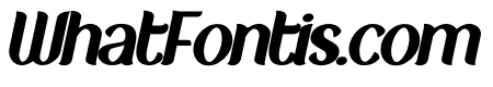 New Crown Black Italic