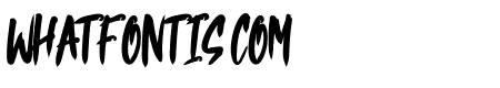 One Shot Brush