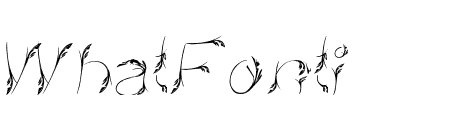 Bird Feather Italic