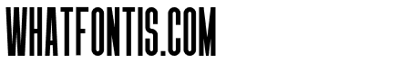 Nata-News