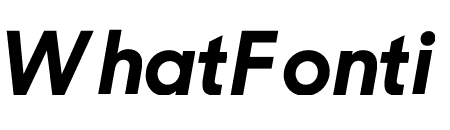 Sharp Sans Display No2 Bold Oblique