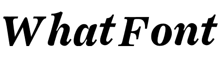 Ogg Text Bold Italic