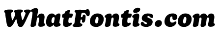 Doyle Black Italic