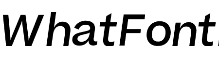 Beatrice Medium Italic