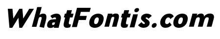 Pier Sans Black Italic
