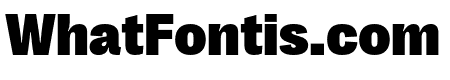 Right Grotesk Black