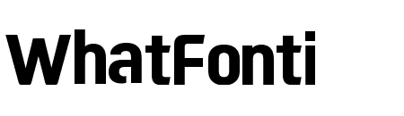 MotoGPDisplayWeb Bold