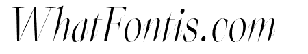Elegans Italic