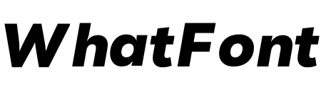 Nexa Text Black Italic