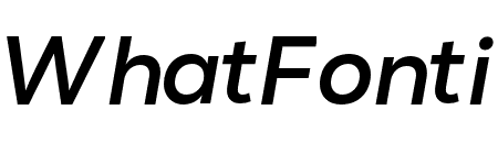 Nexa Text Bold Italic