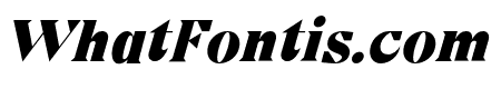 Cako Black Italic