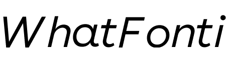 Buenos Aires Book Italic