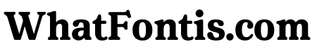 Livorno Bold