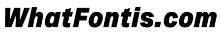 Spezia Narrow Black Italic