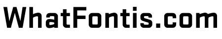 Stratum 2 Bold