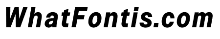 Signal Bold Italic