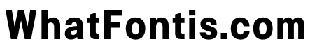 Signal Bold