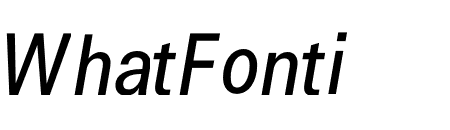 Signal Light Italic