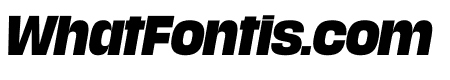 Media Sans Black Italic