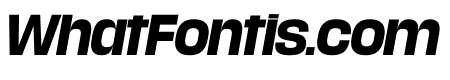 Media Sans Bold Italic