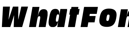 Media Sans Ultra Italic
