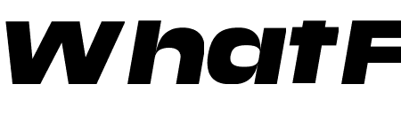 Media Sans Extended Black Italic