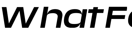 Media Sans Extended Italic