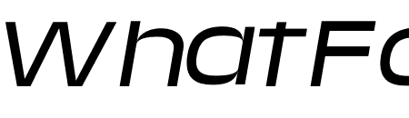 Media Sans Extended Light Italic