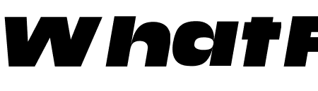 Media Sans Extended Ultra Italic