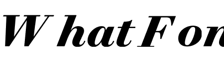 Trianon Text Black Italic