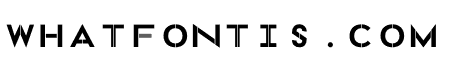 NSType Mono B