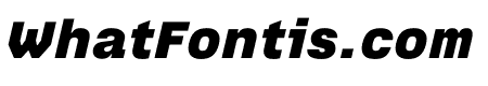 Tuner Black Italic