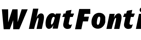TFForever Extrabold Italic