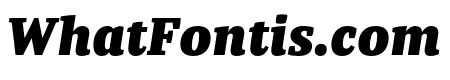 Tasman Black Italic
