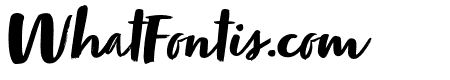 Zooja Elements And Borders Regular