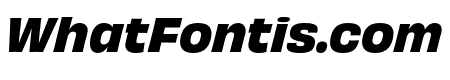 Obviously Narrow Bold Italic