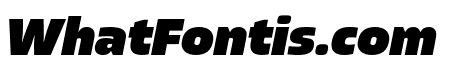 Allotrope Heavy Italic