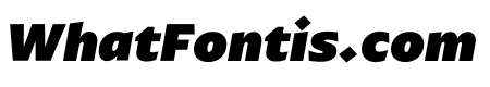 ArponaSans Black Italic