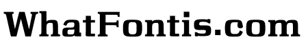 NN Ocean Serif