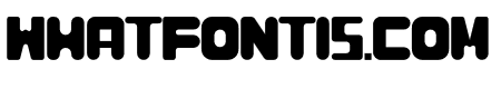 BOLD LINE