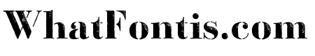 Bodoni FragileDirt